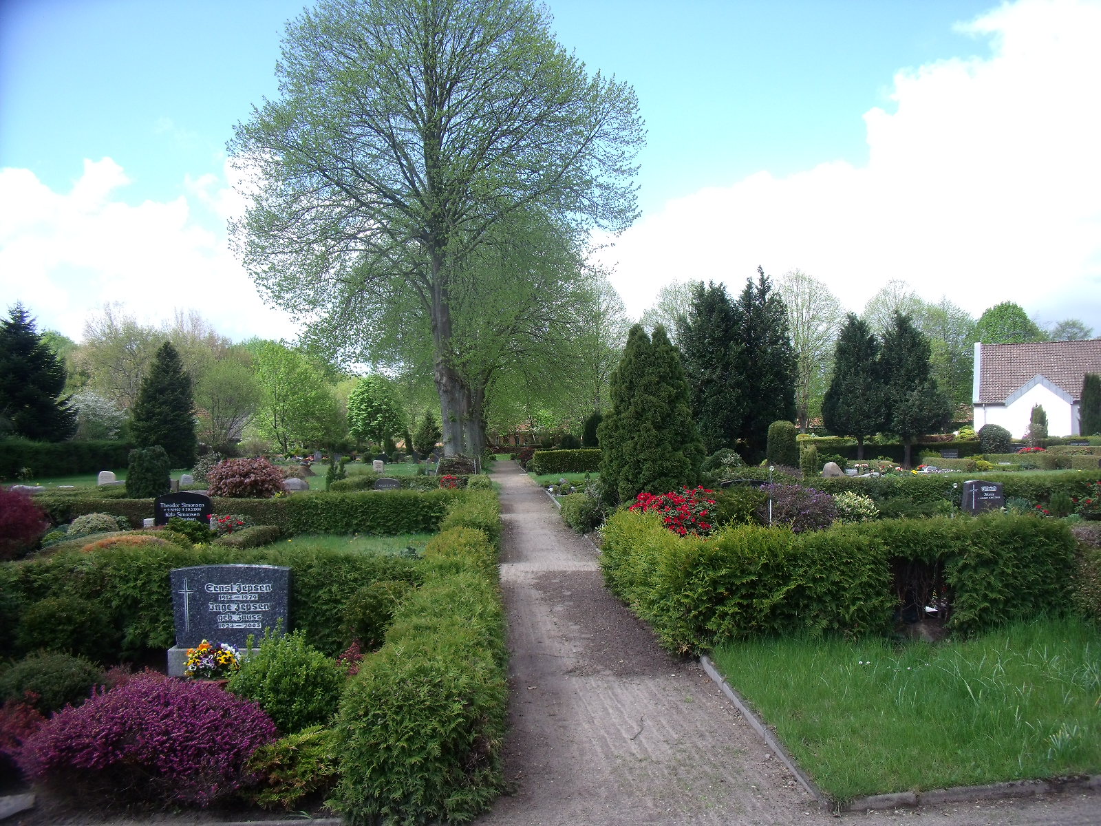 DSCF0457.jpg